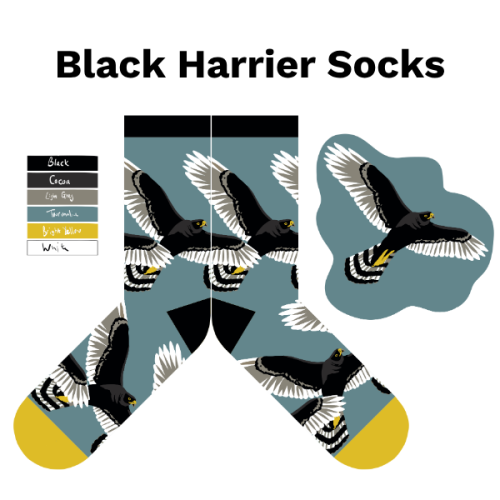 Black Harrier Socks