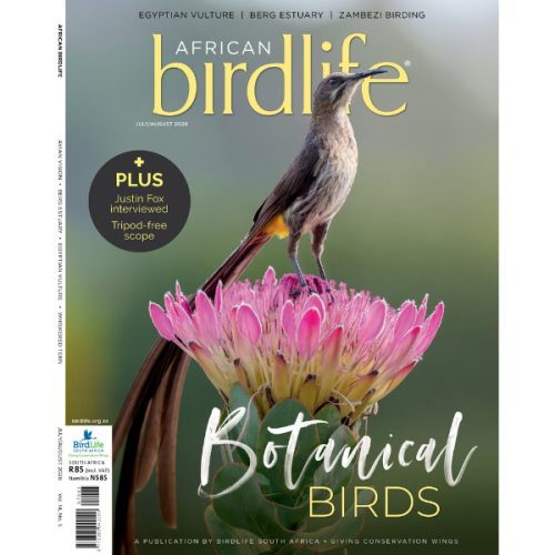African BirdLife (Jul/Aug 2026)