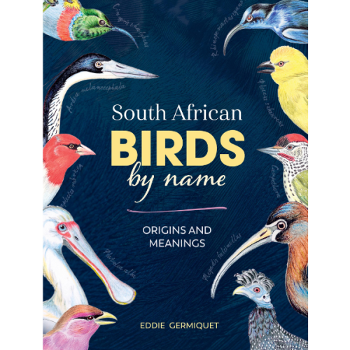 South African Birds by Name: Origins and Meanings
