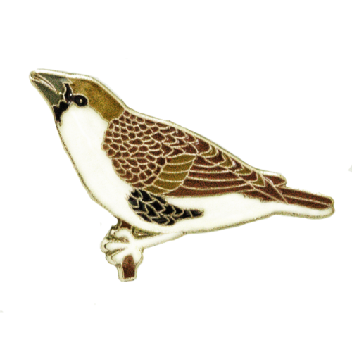 Sociable Weaver Pin (2016)